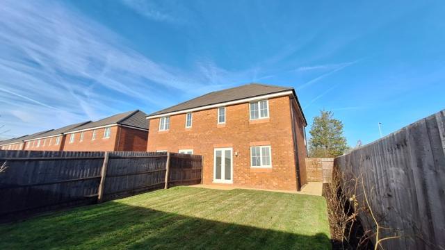 Cedar Rear View Plot 1