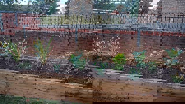 IMG 20221124 WA0003