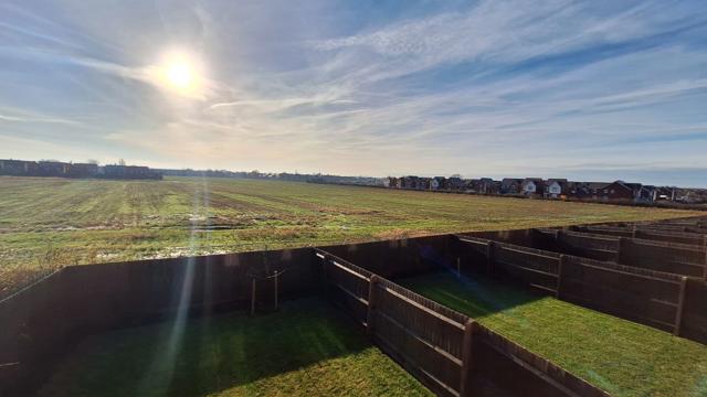 Rear Views Plots 1 16