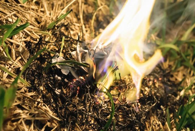 A Close Up Of A Small Fire Burning Dried Grass And Leaves On The Ground, Surrounded By Some Green Grass