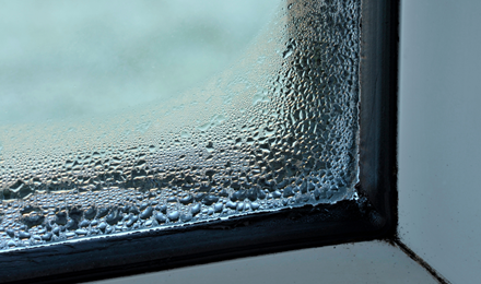 Condensation Window