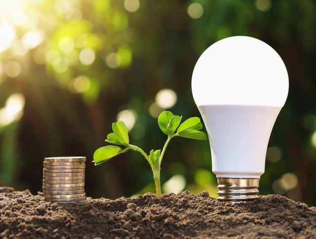 On a mound of soil, there is a pile of coins, a budding plant and a light bulb