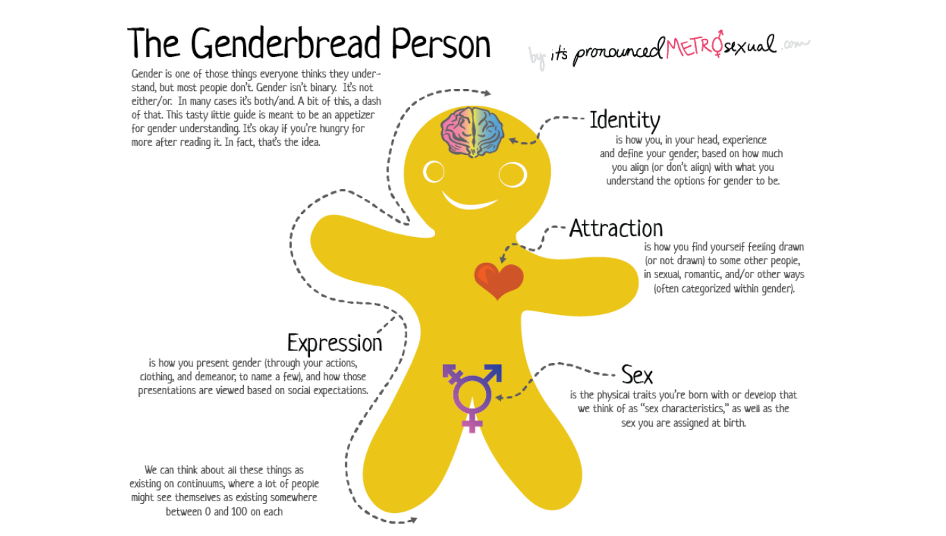 The genderbread person - Midland Heart