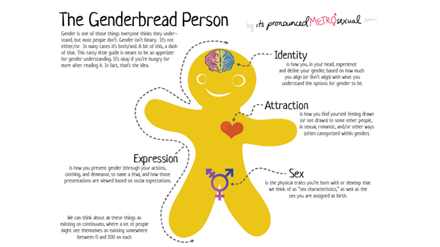 The Genderbread Person MH