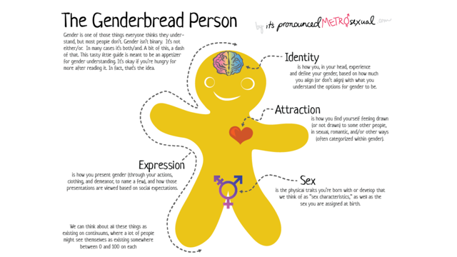 Genderbread Sample The genderbread person - Midland Heart
