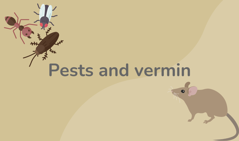 Managing pests and vermin - Midland Heart