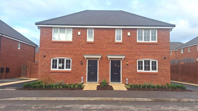 Cedar External Plots 44+45