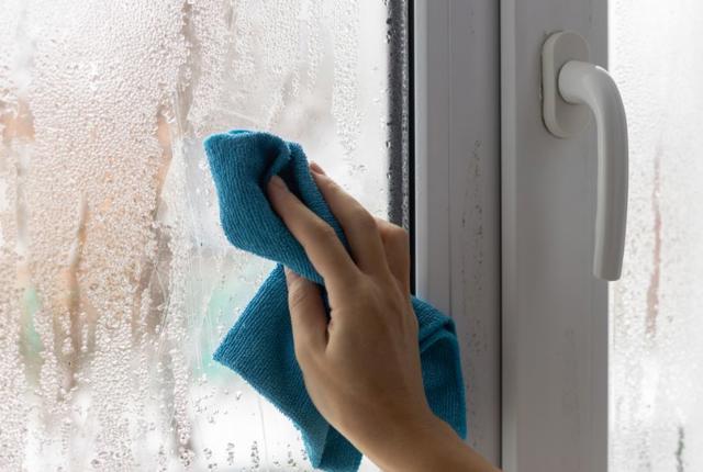 Damp Mould Condensation