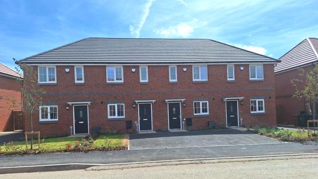 External Plots 706 709