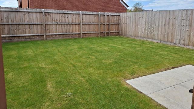 Garden1