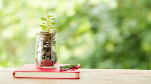 Jar Filled With Coins And A Plant Placed On A Red Book