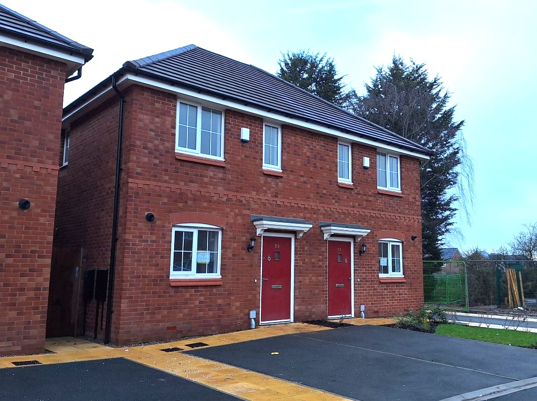 IVY External Plots 15+16