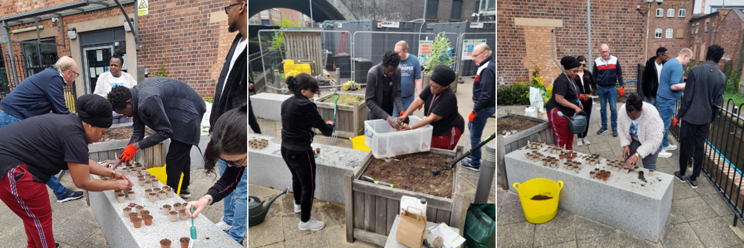 Residents and staff planting seeds