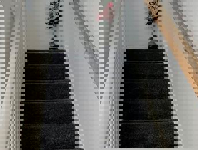 Carpeted stairs with a hand rail