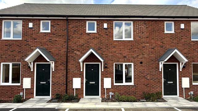 External2 Plot 413