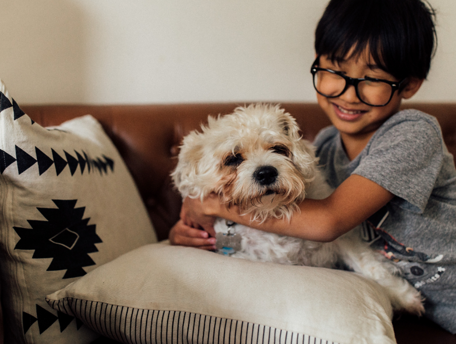 Pets hotsell near me