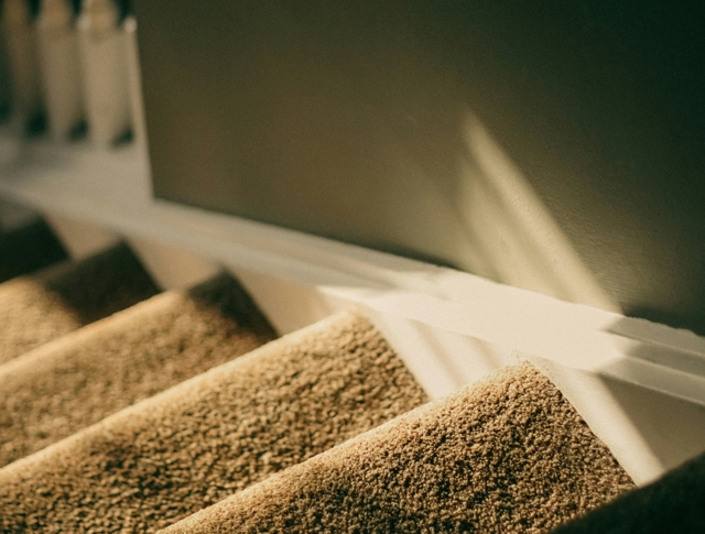 Carpeted Stairs