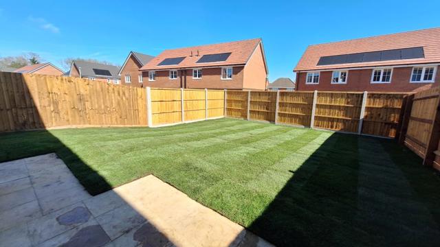 Garden Plot 74