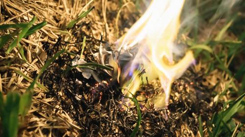 Close Up Of Grass Fire