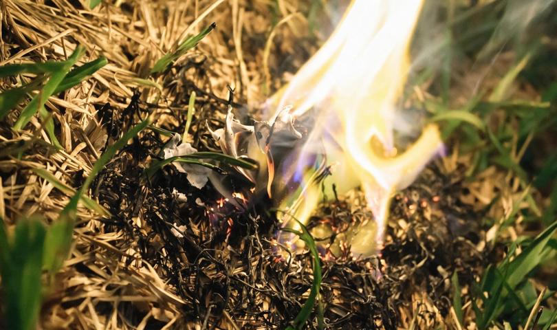 Close Up Of Grass Fire