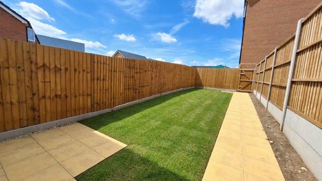 Plot 81 Rear Garden
