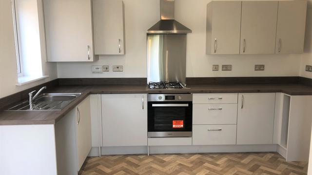 Kitchen Plot 1