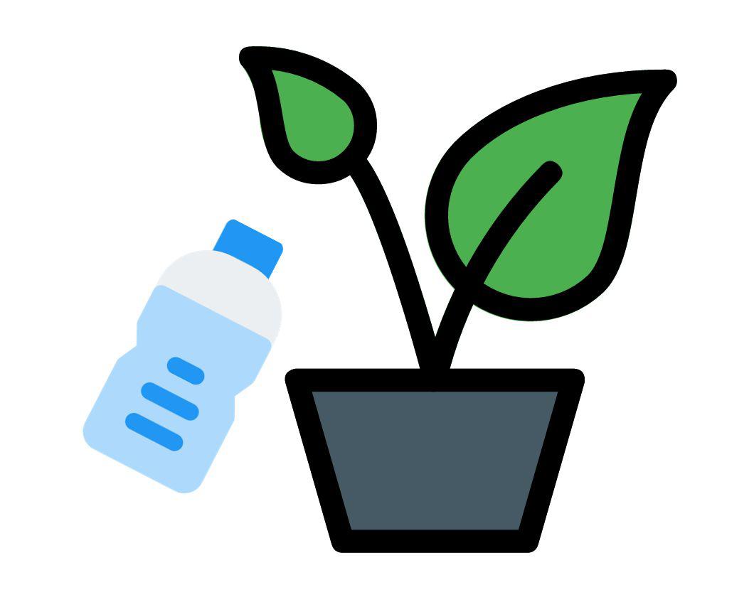 A water bottle next to a house plant