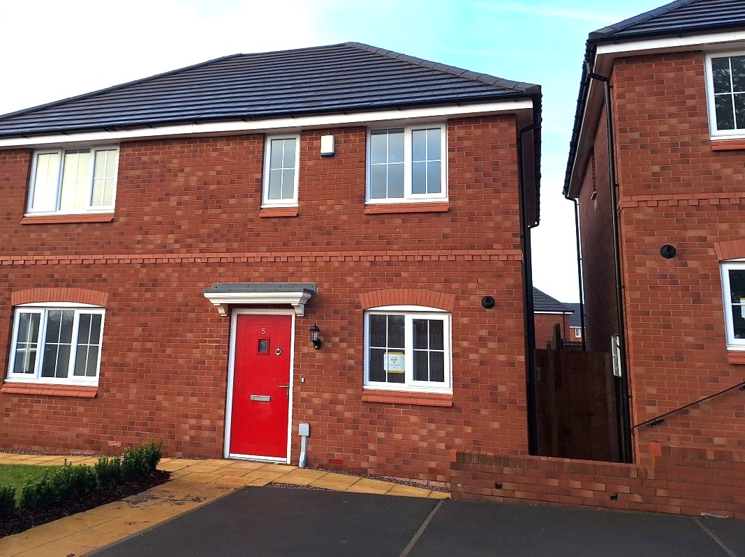 IVY External Plot 47