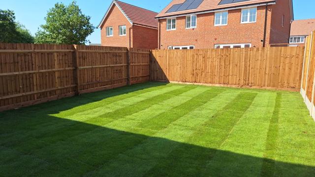 PLOT 115 GARDEN2