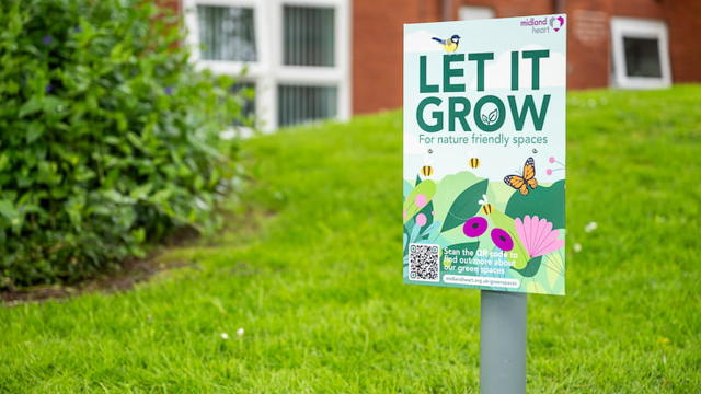 Green Spaces Lichfield 0332