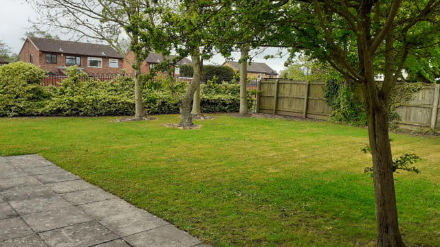 A garden with trees and a patio