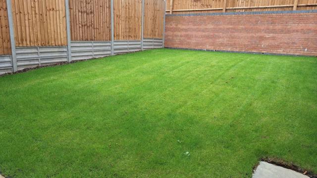 Garden1
